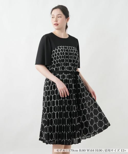 Leilian PLUS HOUSE / レリアンプラスハウス ドレス | 洗えるプリーツワンピース | 詳細4