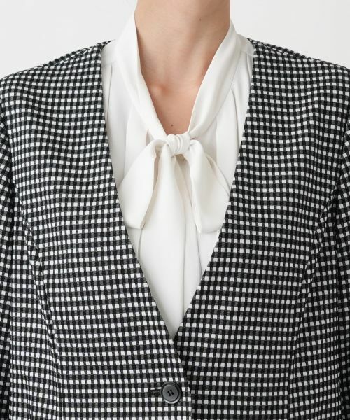 Leilian PLUS HOUSE / レリアンプラスハウス テーラードジャケット | ジャケット | 詳細12
