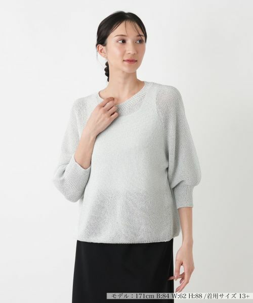 Leilian PLUS HOUSE / レリアンプラスハウス ニット・セーター | セーター【Leilian WHITE LABEL】（サックスブルー）