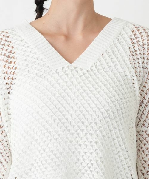 Leilian PLUS HOUSE / レリアンプラスハウス ニット・セーター | セーター【TRICOT PERUGIA】 | 詳細10