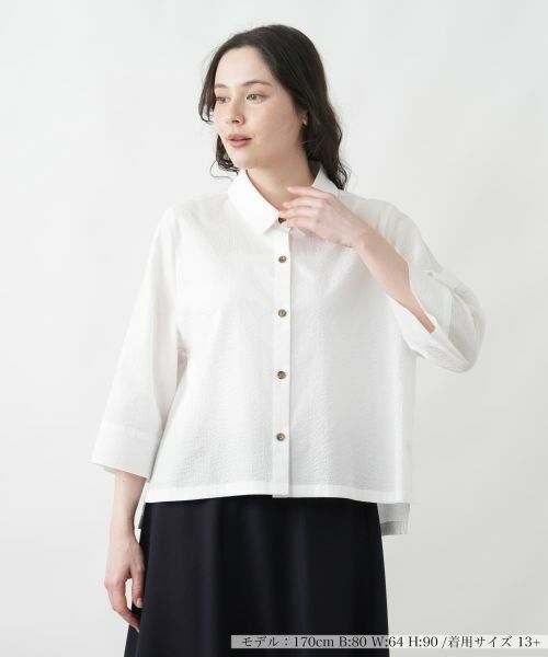 Leilian PLUS HOUSE / レリアンプラスハウス シャツ・ブラウス | 洗えるコットンブラウス | 詳細13