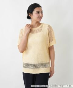 Leilian PLUS HOUSE / レリアンプラスハウス ニット・セーター | スパンコールメッシュニットプルオーバー【HAND】