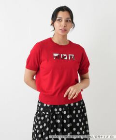 Leilian PLUS HOUSE / レリアンプラスハウス ニット・セーター | ニットタイプ【NEMIKA】