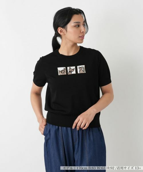 Leilian PLUS HOUSE / レリアンプラスハウス ニット・セーター | ニットタイプ【NEMIKA】（ブラック）