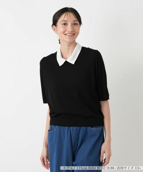 Leilian PLUS HOUSE / レリアンプラスハウス ニット・セーター | ニットプルオーバー【NEMIKA】（ブラック）