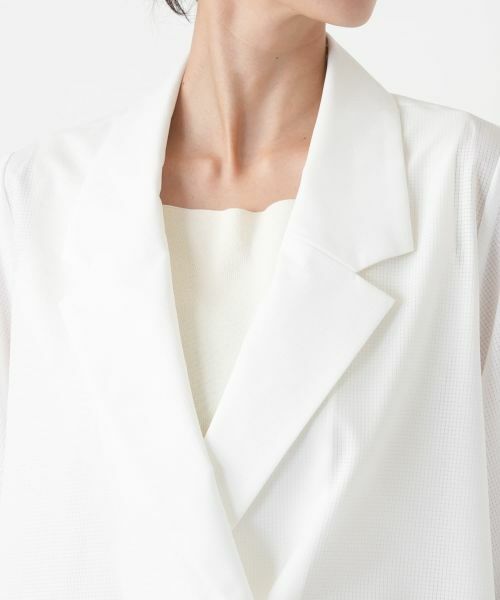 Leilian PLUS HOUSE / レリアンプラスハウス テーラードジャケット | エアドッツクロップドジャケット【BOURGE】 | 詳細13