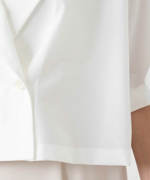 Leilian PLUS HOUSE / レリアンプラスハウス テーラードジャケット | エアドッツクロップドジャケット【BOURGE】 | 詳細16