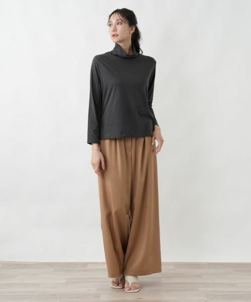 Leilian PLUS HOUSE / レリアンプラスハウス カットソー | タートルネックプルオーバー【SORAGE】 | 詳細4