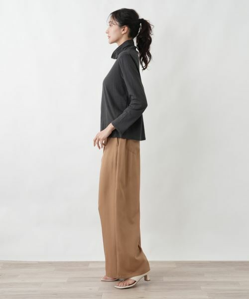 Leilian PLUS HOUSE / レリアンプラスハウス カットソー | タートルネックプルオーバー【SORAGE】 | 詳細5