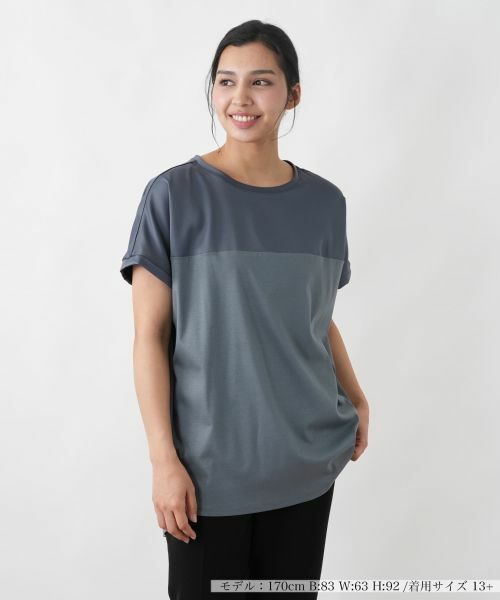 Leilian PLUS HOUSE / レリアンプラスハウス カットソー | カットソー【プラス企画】（コバルトブルー）