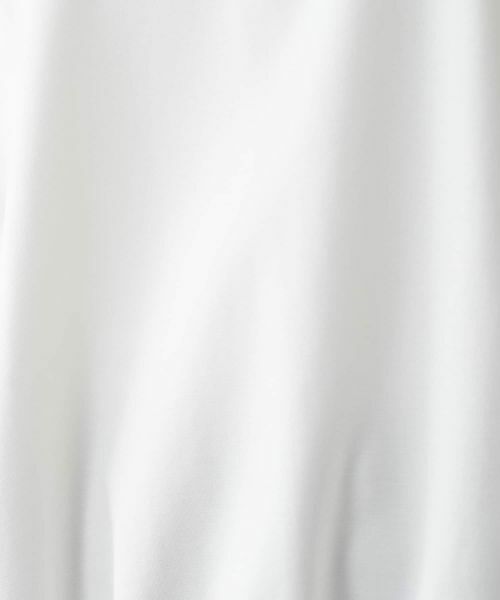 Leilian PLUS HOUSE / レリアンプラスハウス カットソー | スリーブスリットプルオーバー【プラス企画】 | 詳細15