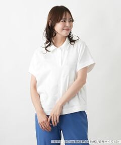 Leilian PLUS HOUSE / レリアンプラスハウス ポロシャツ | ポロシャツ【プラス企画】