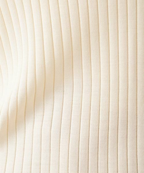 Leilian PLUS HOUSE / レリアンプラスハウス ニット・セーター | 襟付きリブニット【BOURGE】 | 詳細17