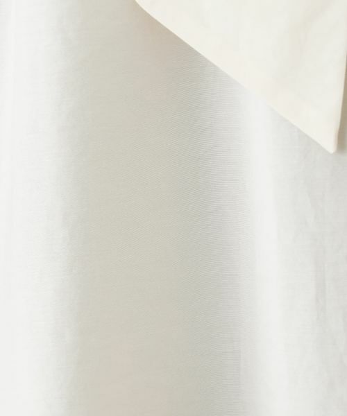 Leilian PLUS HOUSE / レリアンプラスハウス シャツ・ブラウス | ブラウス【Leilian WHITE LABEL】 | 詳細26