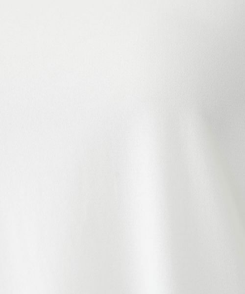 Leilian PLUS HOUSE / レリアンプラスハウス カットソー | 袖口ラッフルシアープルオーバー | 詳細19