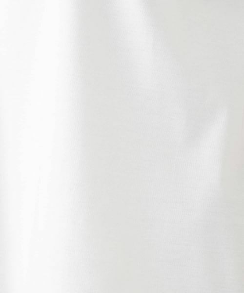Leilian PLUS HOUSE / レリアンプラスハウス カットソー | カットソー【Leilian WHITE LABEL】 | 詳細14