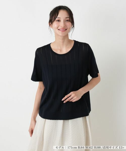 Leilian PLUS HOUSE / レリアンプラスハウス ニット・セーター | ニットタイプ【Leilian WHITE LABEL】（ネイビー）