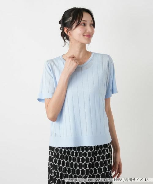 Leilian PLUS HOUSE / レリアンプラスハウス ニット・セーター | ニットタイプ【Leilian WHITE LABEL】（スカイブルー）