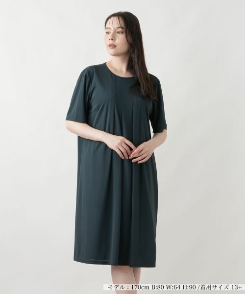 Leilian PLUS HOUSE / レリアンプラスハウス ドレス | 【接触冷感・吸水・速乾】ワンピース【Leilian WHITE LABEL】（モスグリーン）