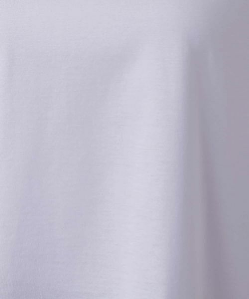 Leilian PLUS HOUSE / レリアンプラスハウス ニット・セーター | ニットタイプ【Leilian WHITE LABEL】 | 詳細14
