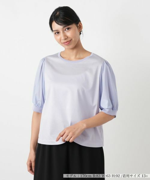 Leilian PLUS HOUSE / レリアンプラスハウス ニット・セーター | ニットタイプ【Leilian WHITE LABEL】（ライラック）