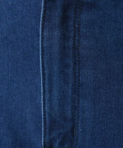 Leilian PLUS HOUSE / レリアンプラスハウス デニムパンツ | ジーンズ【L JEANS】 | 詳細15