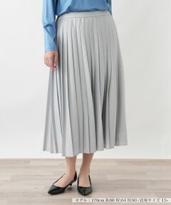 Leilian PLUS HOUSE / レリアンプラスハウス ロング・マキシ丈スカート | プリーツスカート