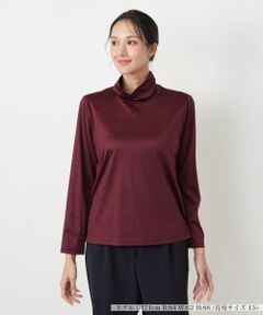 Leilian PLUS HOUSE / レリアンプラスハウス カットソー | カットソー