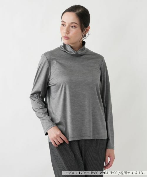 Leilian PLUS HOUSE / レリアンプラスハウス カットソー | カットソー(グレー系)