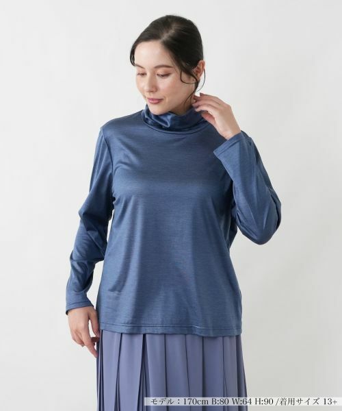 Leilian PLUS HOUSE / レリアンプラスハウス カットソー | カットソー(ロイヤルブルー)