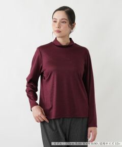 Leilian PLUS HOUSE / レリアンプラスハウス カットソー | カットソー
