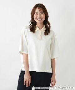Leilian PLUS HOUSE / レリアンプラスハウス ポロシャツ | ポロシャツ【プラス企画】