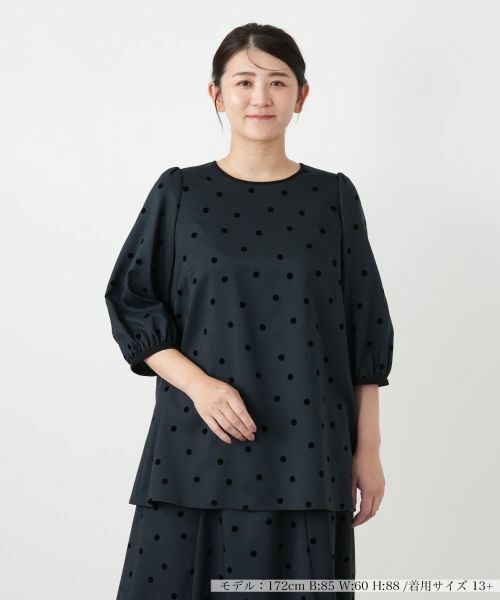 Leilian PLUS HOUSE / レリアンプラスハウス シャツ・ブラウス | ブラウス【Leilian WHITE LABEL】（ネイビー）