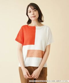 ＊＊Leilian PLUS HOUSE__ / レリアンプラスハウス カットソー | カラーブロッククルーネックニット