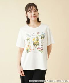 ＊＊Leilian PLUS HOUSE__ / レリアンプラスハウス カットソー | フラワープリントＴシャツ