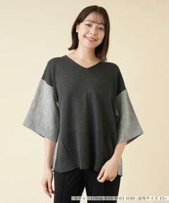 ＊＊Leilian PLUS HOUSE__ / レリアンプラスハウス ニット・セーター | 透かし編み切替Vネックプルオーバー