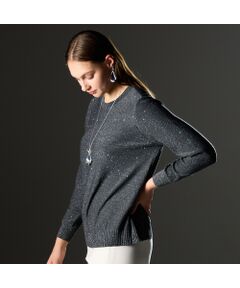 Liliane Burty（Lサイズ） / リリアンビューティ ニット・セーター | 【L～4L/アンサンブル対応】スパンコールプルオーバーニット