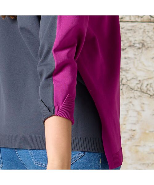 Liliane Burty（Lサイズ） / リリアンビューティ ニット・セーター | 【L・3L】配色ハイネックプルオーバーニット | 詳細13