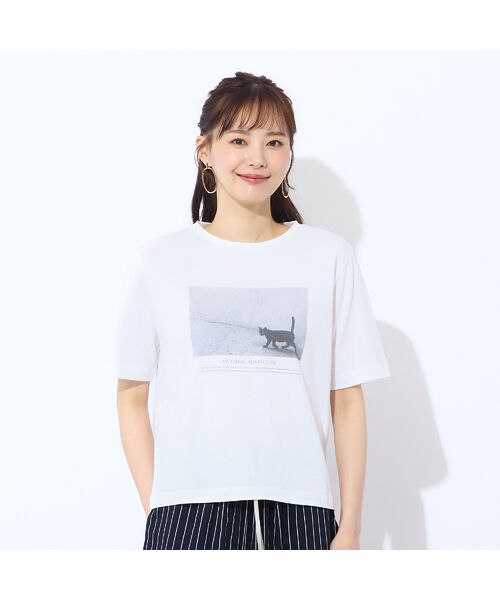 Liliane Burty ECLAT（Sサイズ） / リリアンビューティ エクラ カットソー | 【洗える・吸水速乾】綿100％ネコプリントTシャツ | 詳細1