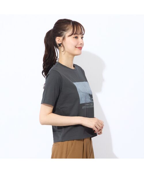 Liliane Burty ECLAT（Sサイズ） / リリアンビューティ エクラ カットソー | 【洗える・吸水速乾】綿100％ネコプリントTシャツ | 詳細12