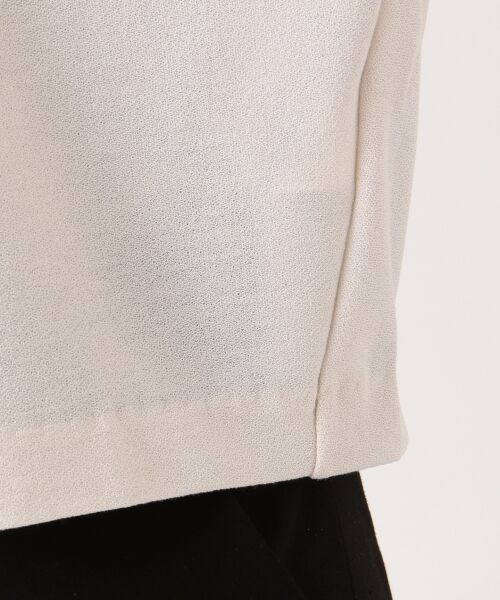 L size ONWARD(大きいサイズ) / エルサイズオンワード Tシャツ | Amunzen Jersey 半袖 カットソー | 詳細6