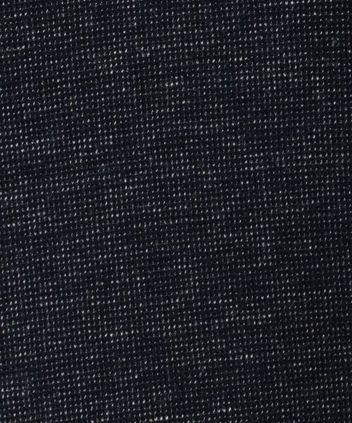 L size ONWARD(大きいサイズ) / エルサイズオンワード ミニ丈・ひざ丈ワンピース | クラシックレディ ワンピース | 詳細3