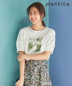 【any SiS×plantica】プリント Tシャツ