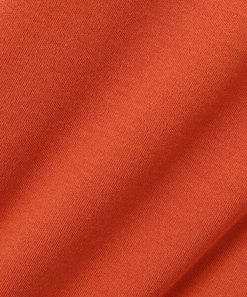 L size ONWARD(大きいサイズ) / エルサイズオンワード ロング・マキシ丈ワンピース | 【WEB限定カラーあり・洗える】コンパクトコットンスムース ポロワンピース | 詳細16