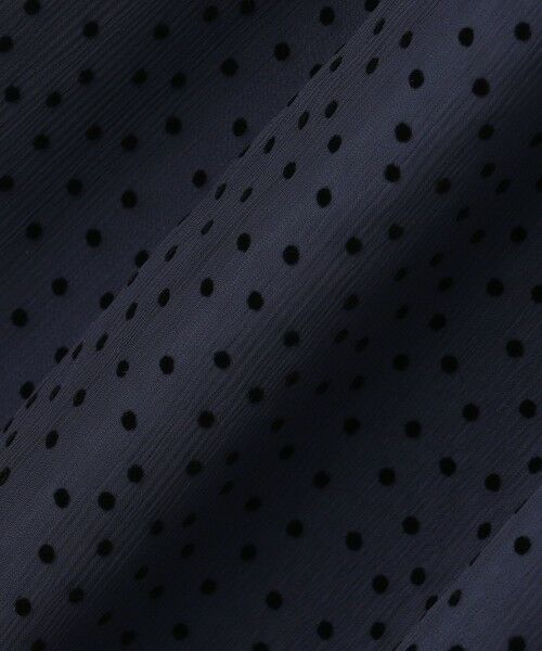 L size ONWARD(大きいサイズ) / エルサイズオンワード ドレス | 【APPLAUDIR】シアードットフロッキー ドレス | 詳細16