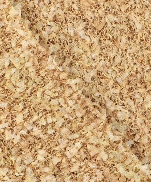 L size ONWARD(大きいサイズ) / エルサイズオンワード ニット・セーター | ファンシーラメスラリット ニット | 詳細10