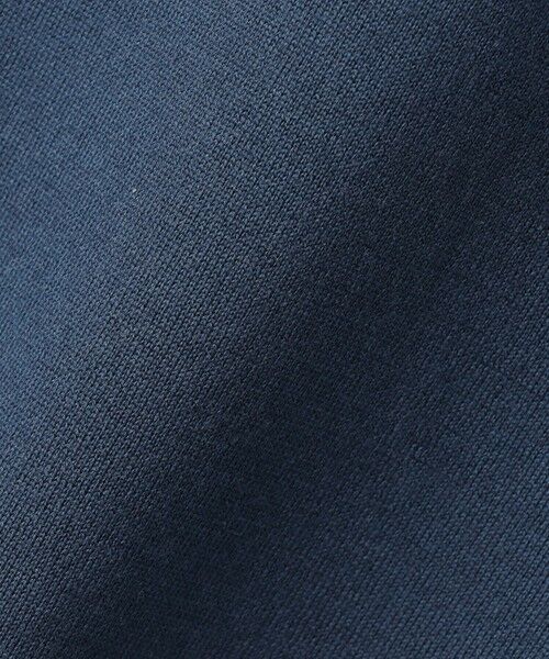 L size ONWARD(大きいサイズ) / エルサイズオンワード ミニ丈・ひざ丈ワンピース | 【洗える】 シルキーウールダブルフェイス ハイネックニットワンピース | 詳細10