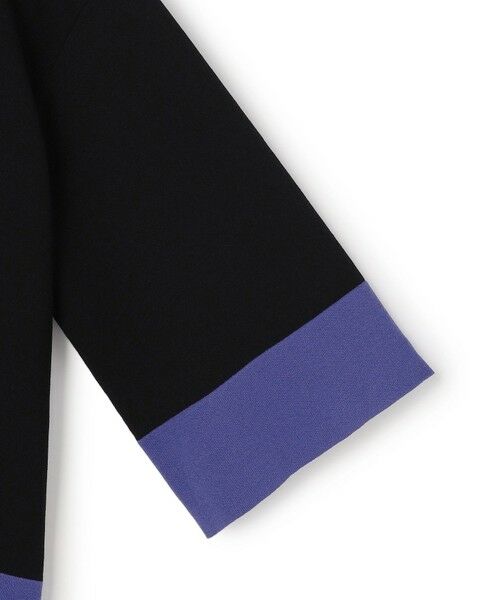 L size ONWARD(大きいサイズ) / エルサイズオンワード ニット・セーター | VIS/NYハイゲージ バイカラーニットT | 詳細10