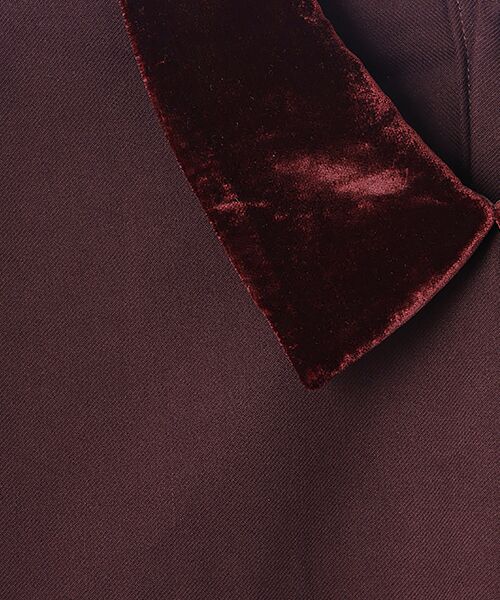 LOGEMENT DE CLAIRE / ロジュモンドクレール シャツ・ブラウス | 【LOURMARIN】ベルベット衿ブラウス | 詳細6