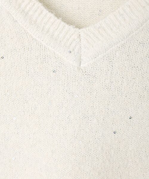 LOGEMENT DE CLAIRE / ロジュモンドクレール ニット・セーター | 【スパンコールミックスVネックドルマンニット】 | 詳細1